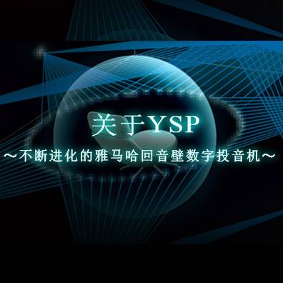 不断进化的凯发k8回音壁数字投音机