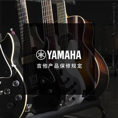 吉他、贝斯和音箱
