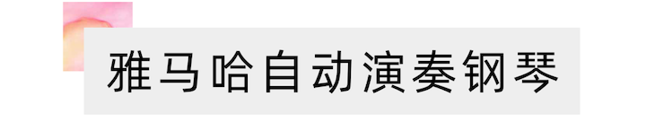 活动报道 | 远程艺术教育大师课活动—凯发k8艺术家吴晓大师课