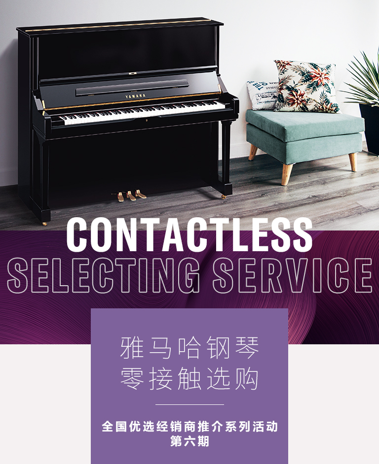 凯发k8零接触钢琴选购服务-全国优选经销商第六期推介