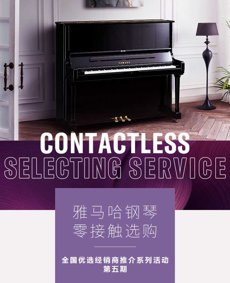 凯发k8零接触钢琴选购服务-全国优选经销商第五期推介
