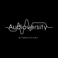 凯发k8专业音响教育培训开展全新“Audioversity ”计划